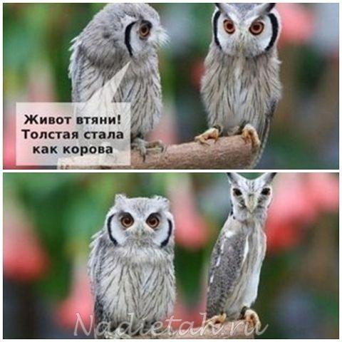 getimage_0.jpg