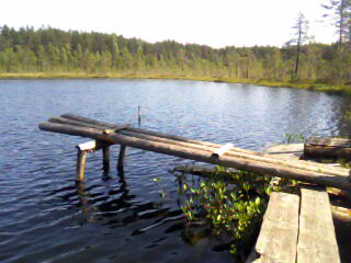 IMG261-01.jpg